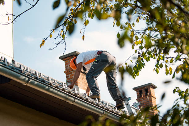 Best Roof Repair Services  in The College Of New Jersey, NJ