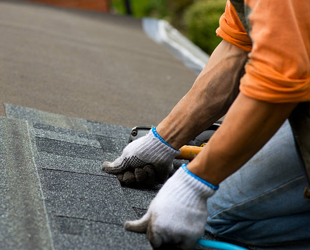 Best Roof Gutter Cleaning  in The College Of New Jersey, NJ